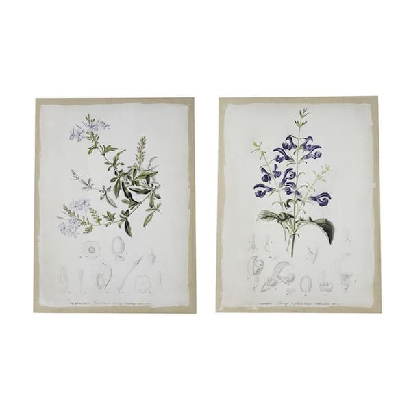 Benjara White and Black Wooden Framed Floral Wall Art Prints (Set of 2)