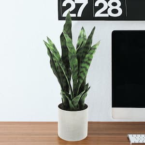  flybold Artificial Fake Snake Plants - Faux Indoor Plant -  Modern Decor Artificial House Plant - Large Faux Sansevieria Plant with 28  Tall Leaves - Includes White Pot and Tripod 