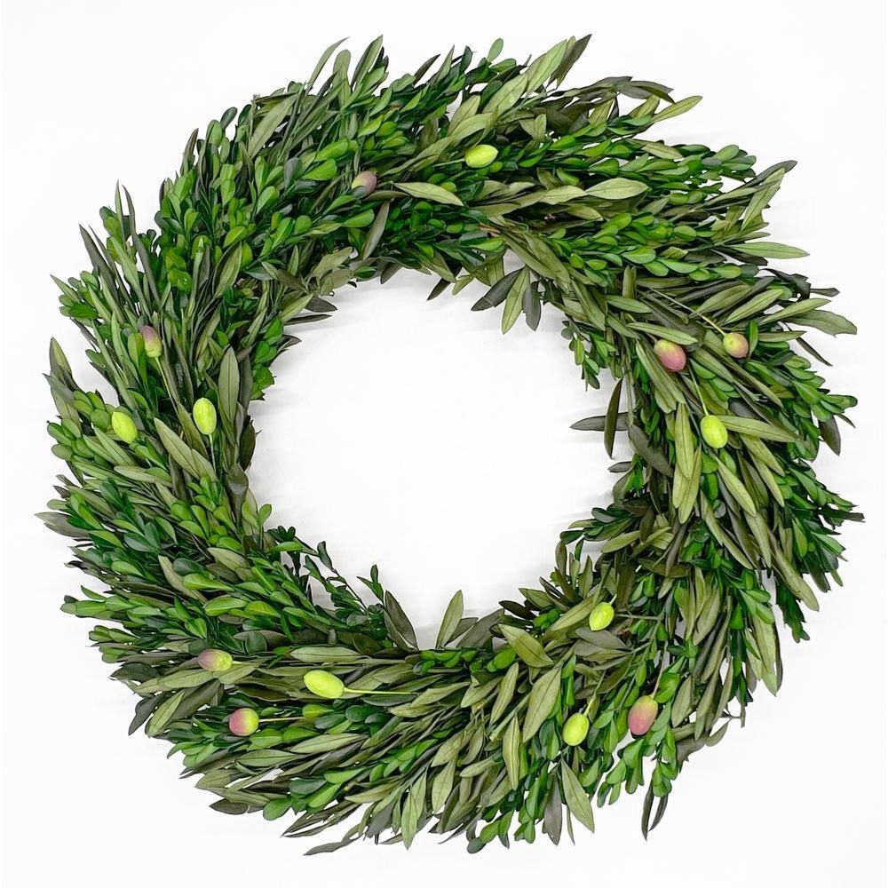 castellousa 21 in. Artificial Olive with Preserved Boxwood Leaf