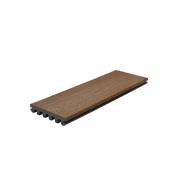 Trex Enhance Basics 1 in. x 6 in. x 1 ft. Saddle Composite Deck Board Sample - Brown