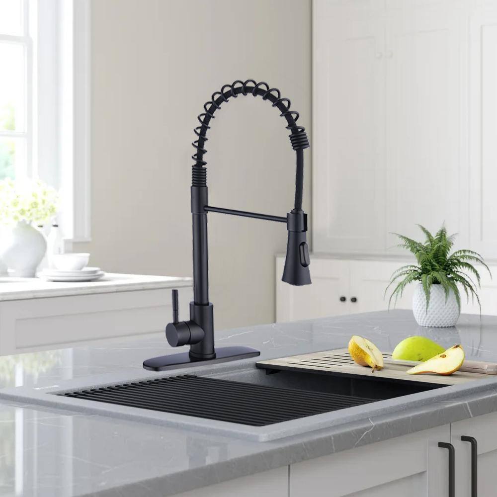 Matte Black Stainless Steel Pull-Down Kitchen Faucet with Deck Plate