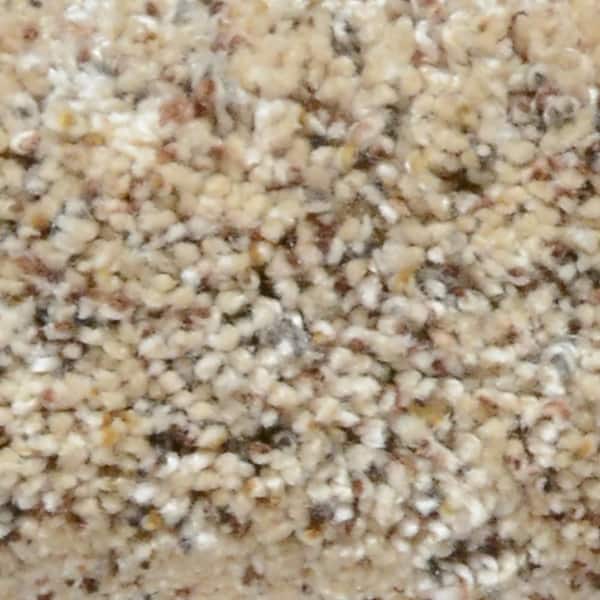 Home Decorators Collection Carpet Sample - Great Moments II (F) - Color Endless View Texture 8 in. x 8 in.