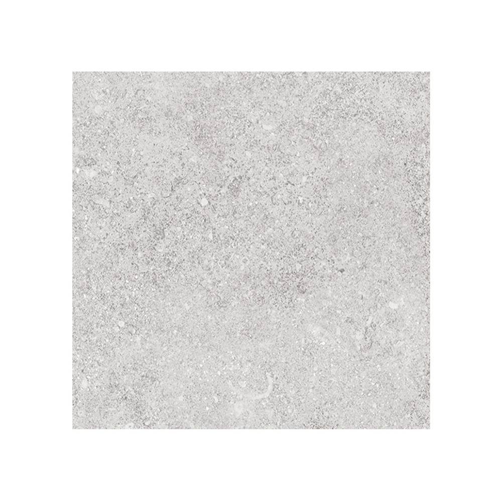 Ambience Natural Silver Matte 24 in.x 24 in.x 10mm Porcelain Floor and Wall Tile-SAMPLE price history on PriceWatchPro
