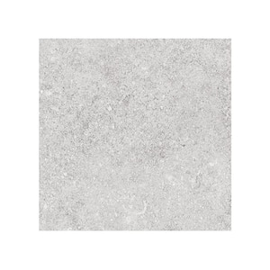 Ambience Natural Silver Matte 24 in.x 24 in.x 10mm Porcelain Floor and Wall Tile-SAMPLE