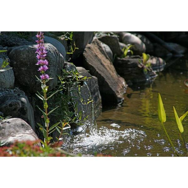 Have a question about OASE Aquamax Eco Classic 1,900 GPH Have a question about OASE Aquamax Eco Classic 1,900 GPH