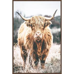 "Scottish Highland Cattle" by Marmont Hill Floater Framed Canvas Animal Art Print 24 in. x 16 in.