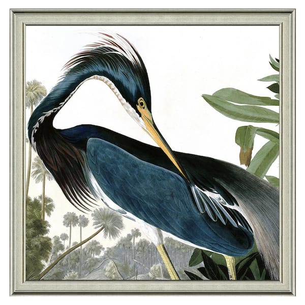 Vintage Print Gallery 20 in. x 20 in. Full Size"The great blue heron" Framed Archival Paper Wall Art