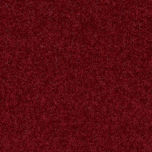 8 in. x 8 in. Texture Carpet Sample - Alpine - Color Romance