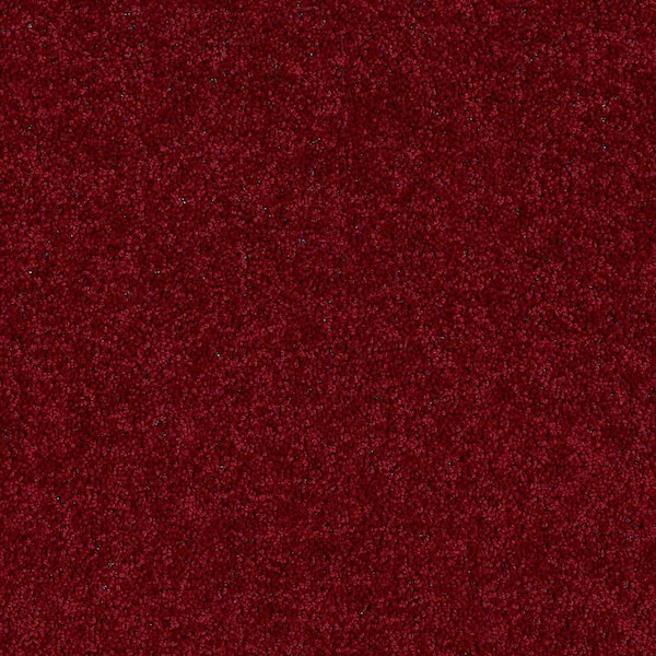 TrafficMaster 8 in. x 8 in. Texture Carpet Sample - Alpine - Color Romance