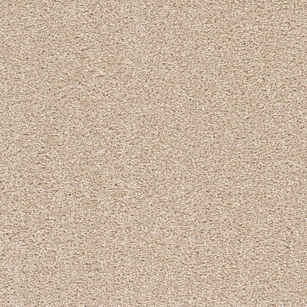 8 in. x 8 in. Texture Carpet Sample - Soft Breath Plus II -Color Alameda price history on PriceWatchPro