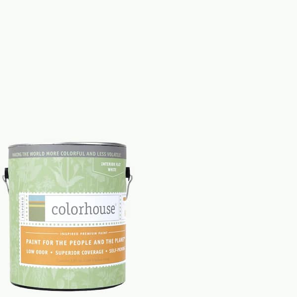 Colorhouse 1 gal. Imagine .01 Flat Interior Paint
