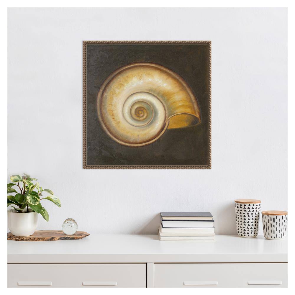 Patricia Pinto Nautical Seashell Canvas Framed Wall Art 22 x 22-in.