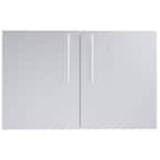 Designer Series Raised Style 36 in. 304 Stainless Steel Double Access Door with Shelves