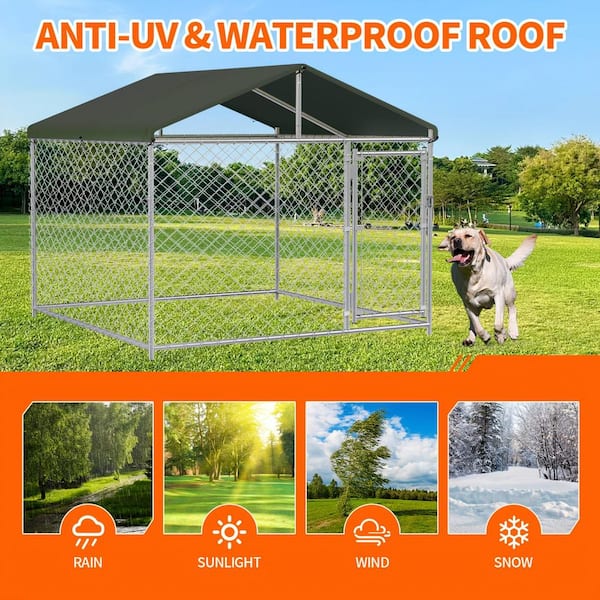 10 ft. x 10 ft. x 8 ft. Durable Dog Kennel Outdoor Dog Enclosure with Metal Door, Weatherproof Pet Fence