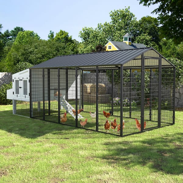 VEIKOUS 10 ft. x 6 ft. Large Metal Chicken Coop with Run for 15