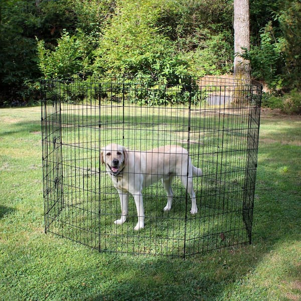 Lucky Dog 48 in. High Heavy Duty Exercise Pen with Stakes ZW 11648 - The  Home Depot