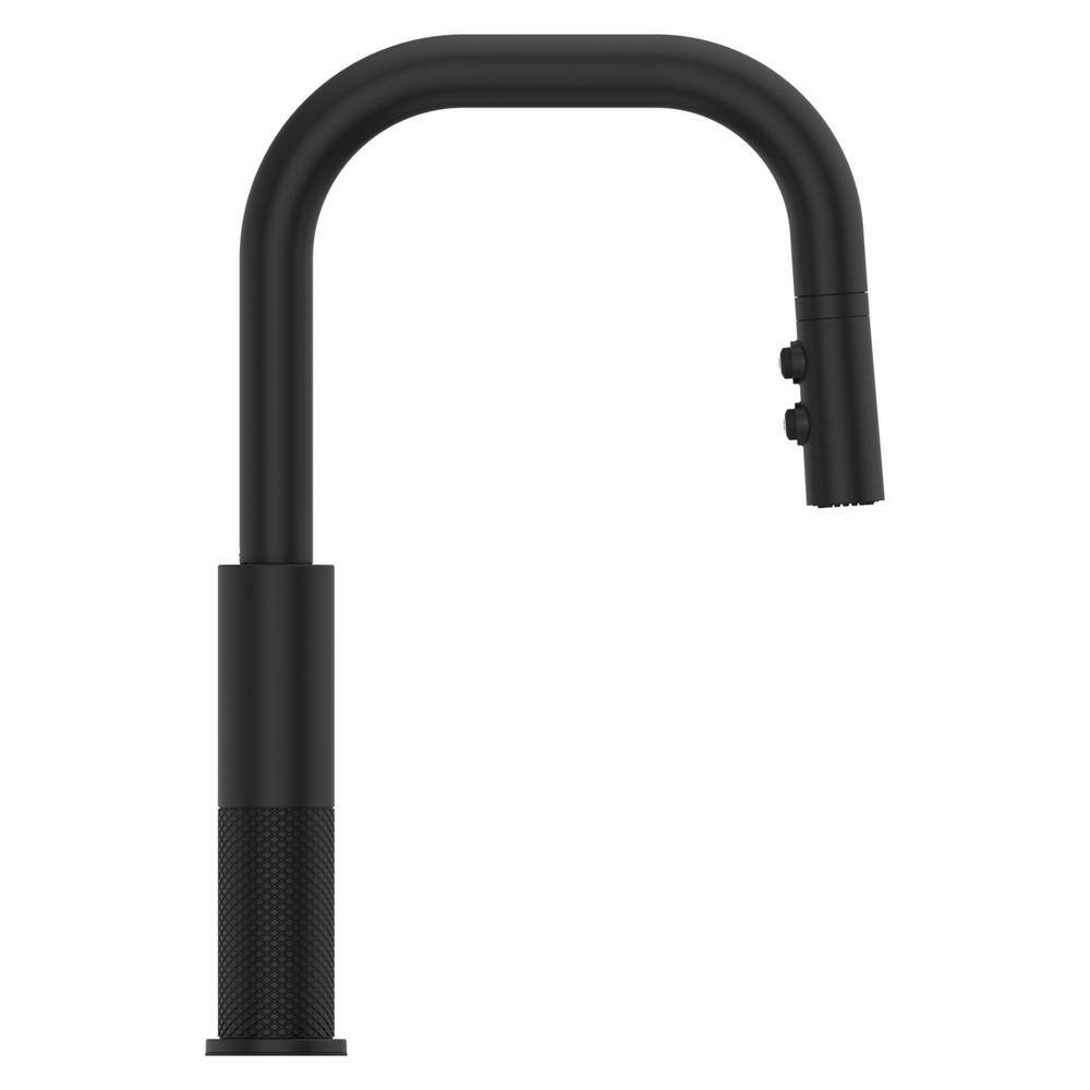 Matte Black Single Handle Pull-Down Kitchen Faucet