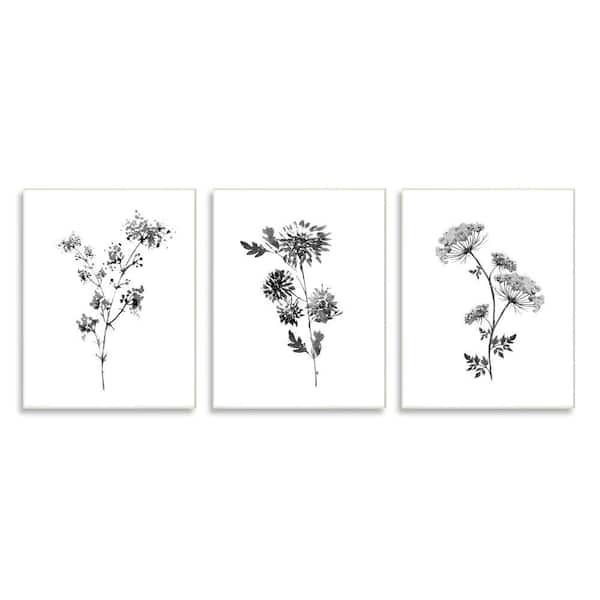 Stupell Industries Cornflower Wildflower Watercolor Black Florals By Conrad Knutsen 3pc Unframed Print Nature Wall Art 10 in. x 15 in.