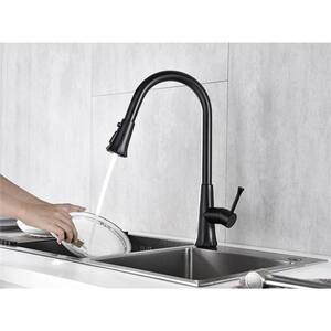 Single-Handle Pull-Out Sprayer Kitchen Faucet in Matte Black