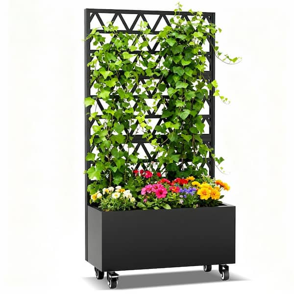 Metal Rectangular Raised Garden Bed, Trellis Privacy Screen for Climbing  Plants(35.83 in. L x 16.14 in. W x 72.05 in. H) L-1995615 - The Home Depot