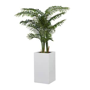 63 in. H Fern Artificial Tree with Realistic Leaves and White Fiberglass Pot