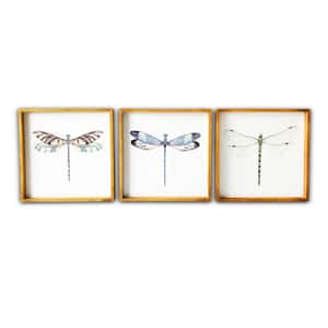 Dragonflies Wood Framed Animal Art Print 20 in. x 20 in. Each (Set of 3)