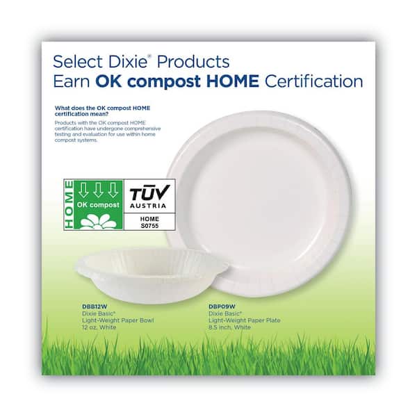 Dixie 125-Pack Paper Leak Proof Disposable Dinner Plates in the Disposable  Plates department at