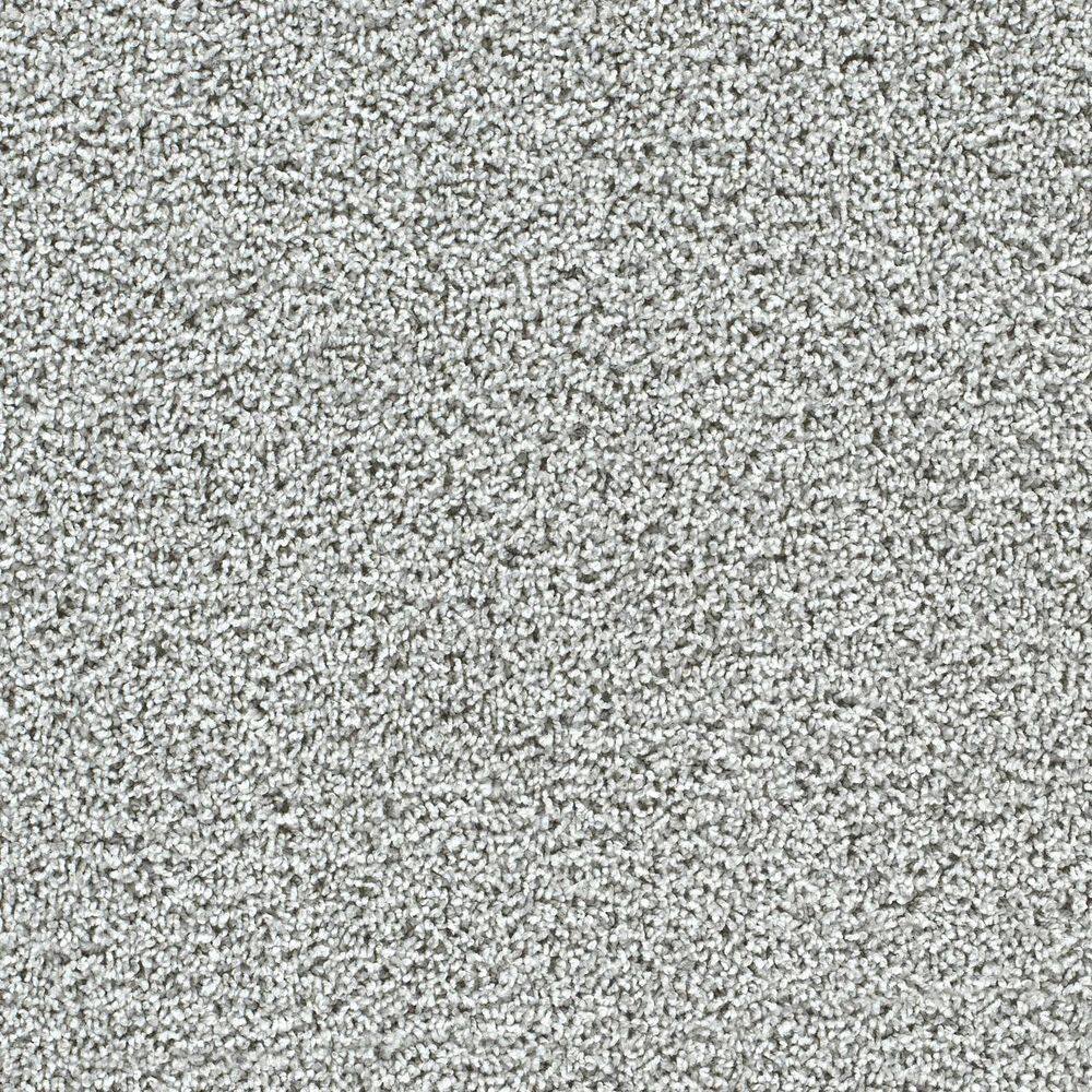 8 in. x 8 in. Texture Carpet Sample-Easel-Color Depth price history on PriceWatchPro