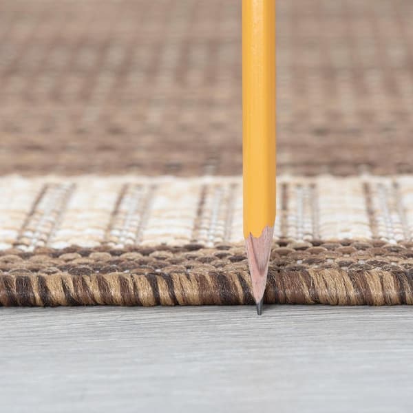 Eco Striped Border Brown 4 ft. x 6 ft. Indoor/Outdoor Area Rug