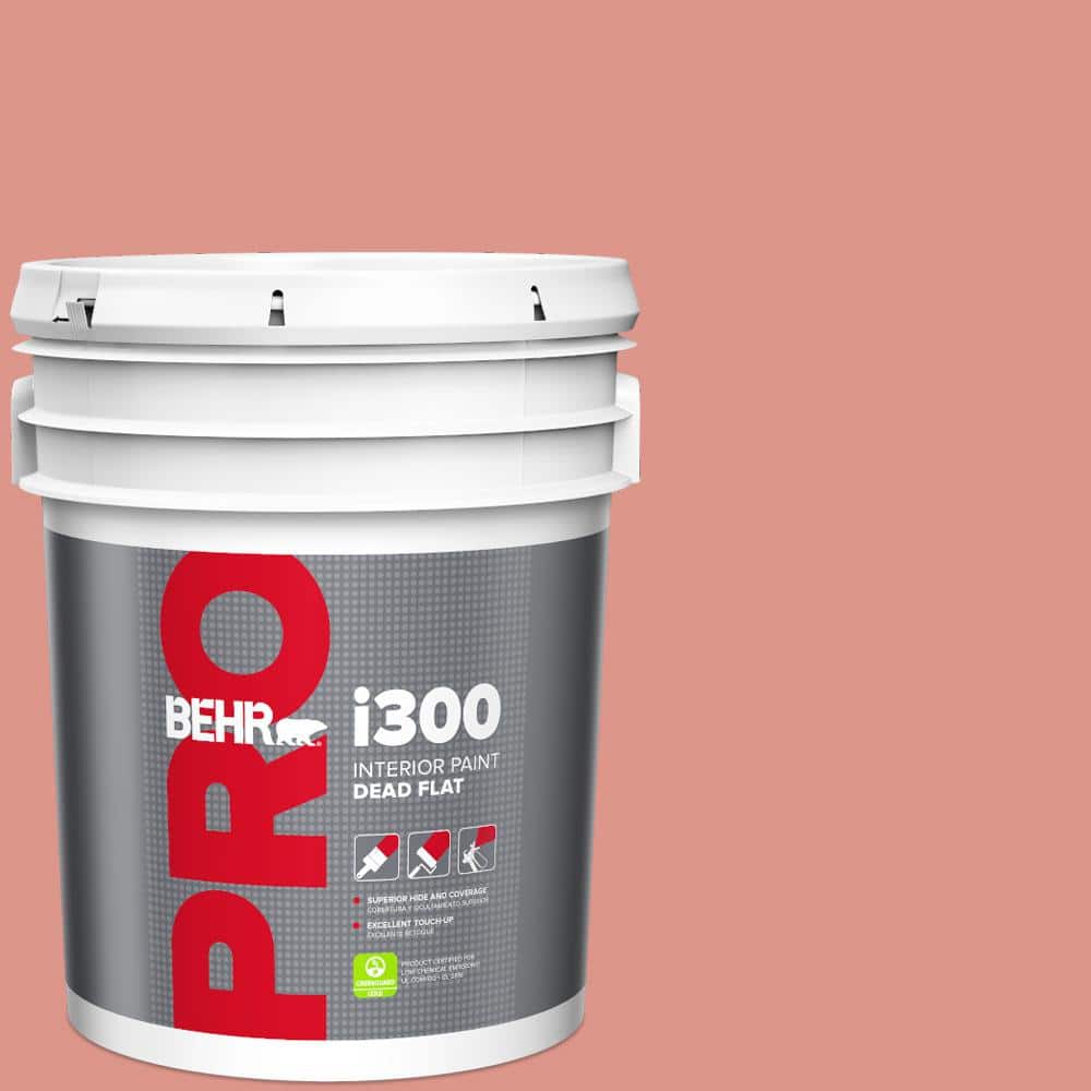 5 gal. #180D-4 Coral Serenade Dead Flat Interior Paint product image for price tracking
