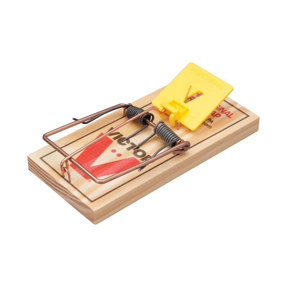 Easy Set Mouse Trap (2-Pack) price history on PriceWatchPro