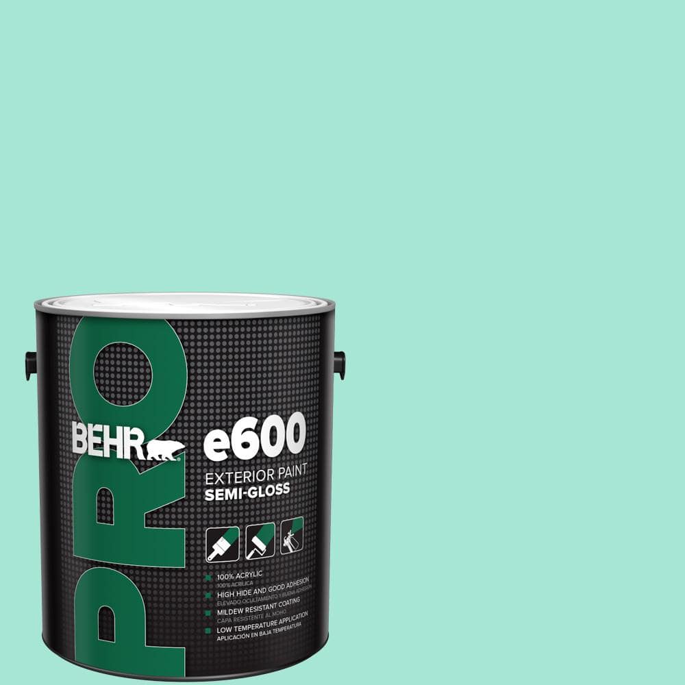 1 gal. #480A-2 Botanical Tint Semi-Gloss Exterior Paint price history on PriceWatchPro