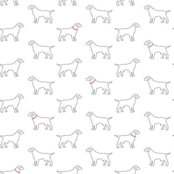 Chesapeake Yoop White Dog Wallpaper