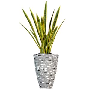 Artificial Faux Real Touch 4 ft. Tall Snake Plant Sansevieria with Fiberstone Planter