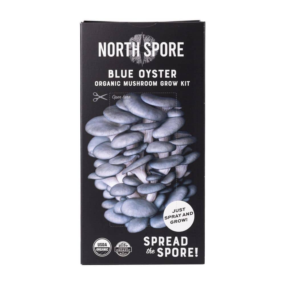 Organic Blue Oyster Mushroom Spray & Grow Kit price history on PriceWatchPro