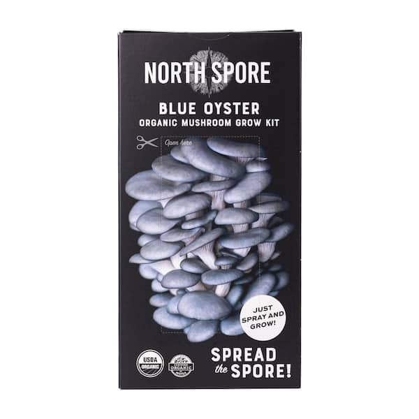 Organic Blue Oyster Mushroom Spray & Grow Kit