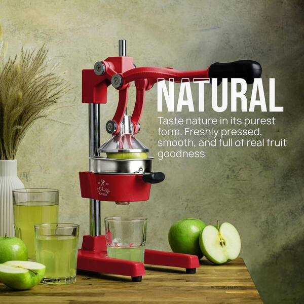 Zulay Kitchen Cast Iron Manual Citrus Juicer Z-4073 - The Home Depot