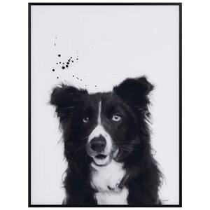 Empire Art Direct Dalmatian Black and White Pet Paintings on Printed  Glass Encased with a Gunmetal Anodized Frame AAGB-JP1032-2418 - The Home  Depot