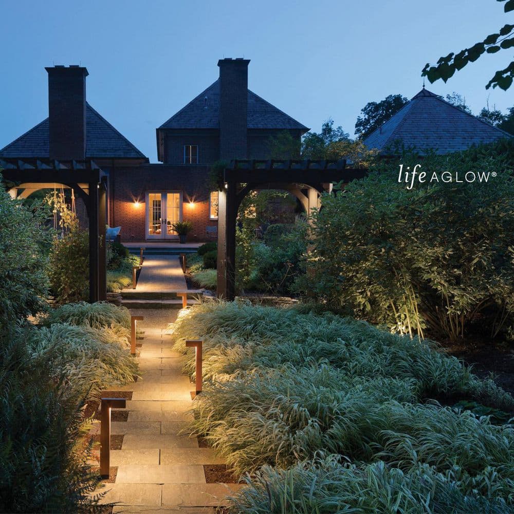 Matte Bronze 1-Light Cast Brass Landscape Well Light