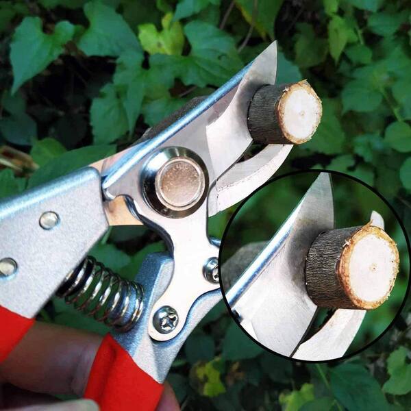 2 in. Pruning Shears 1 in. Cutting Capacity, Red Professional Bypass
