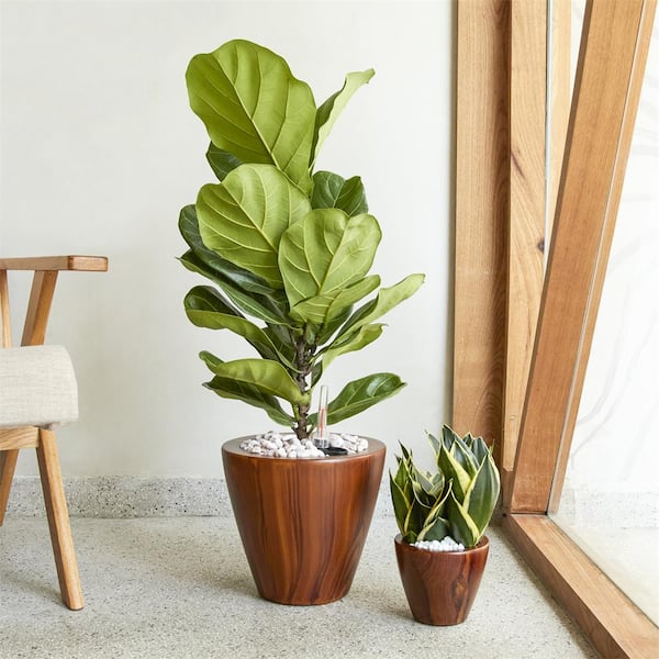 10 in. Dark Wood Plastic Self-Watering Planter Pot (2-Pack )