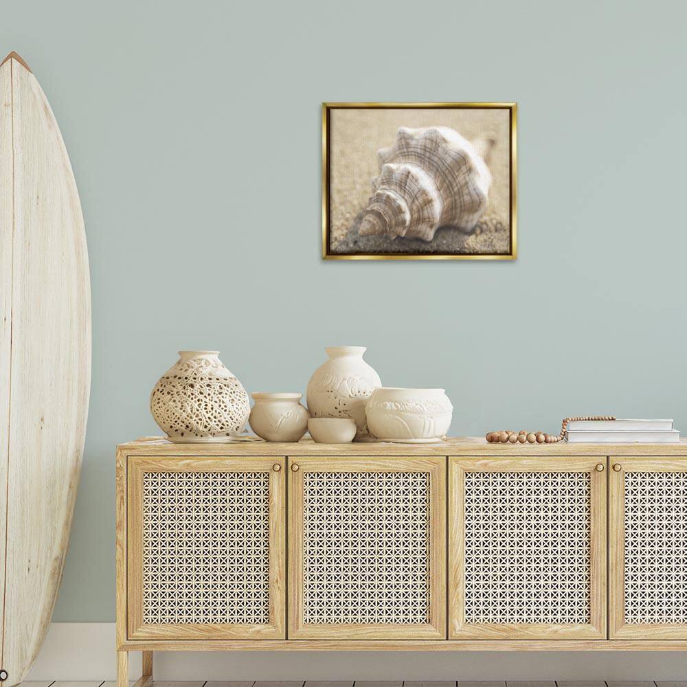Neutral Tone Conch Shell by Dora Rotondella Gold Floater Frame Animal Graphic Art Print 17 in. x 21 in. price history on PriceWatchPro