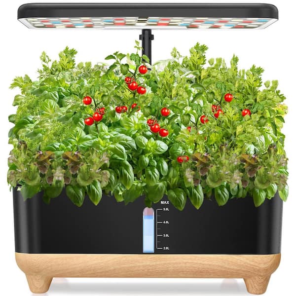 1 2 grow aquarium plants Tropica Gratiola viscidula 1-2-Grow – Charterhouse Aquatics
