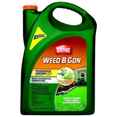 Wild Violet - Weed Killer - Lawn Care - The Home Depot