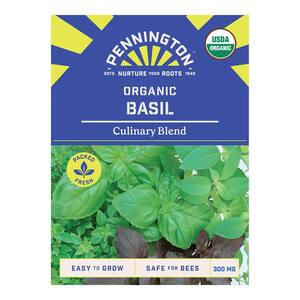 Organic Culinary Blend Basil Herb Seeds