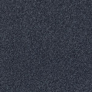 Karma II - Shadows - Blue 50.5 oz. Nylon Texture Installed Carpet