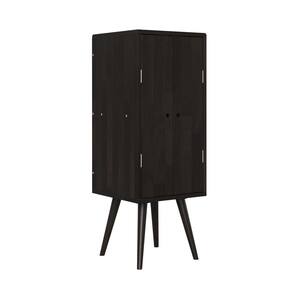 Freemont Dark Brown Mid Century Modern Vertical Wood Chest with Doors