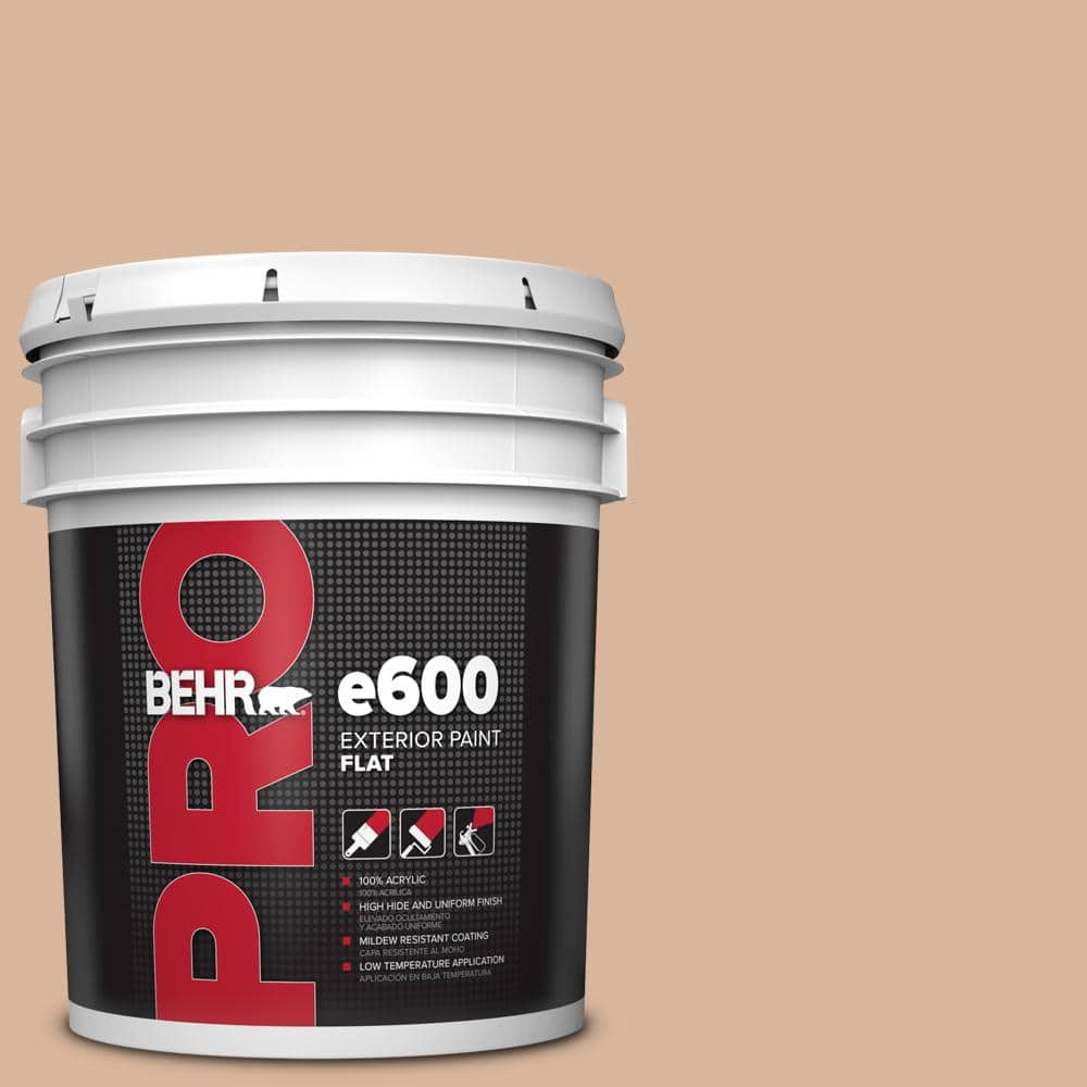 5 gal. #ECC-40-1 Canewood Flat Exterior Paint price history on PriceWatchPro