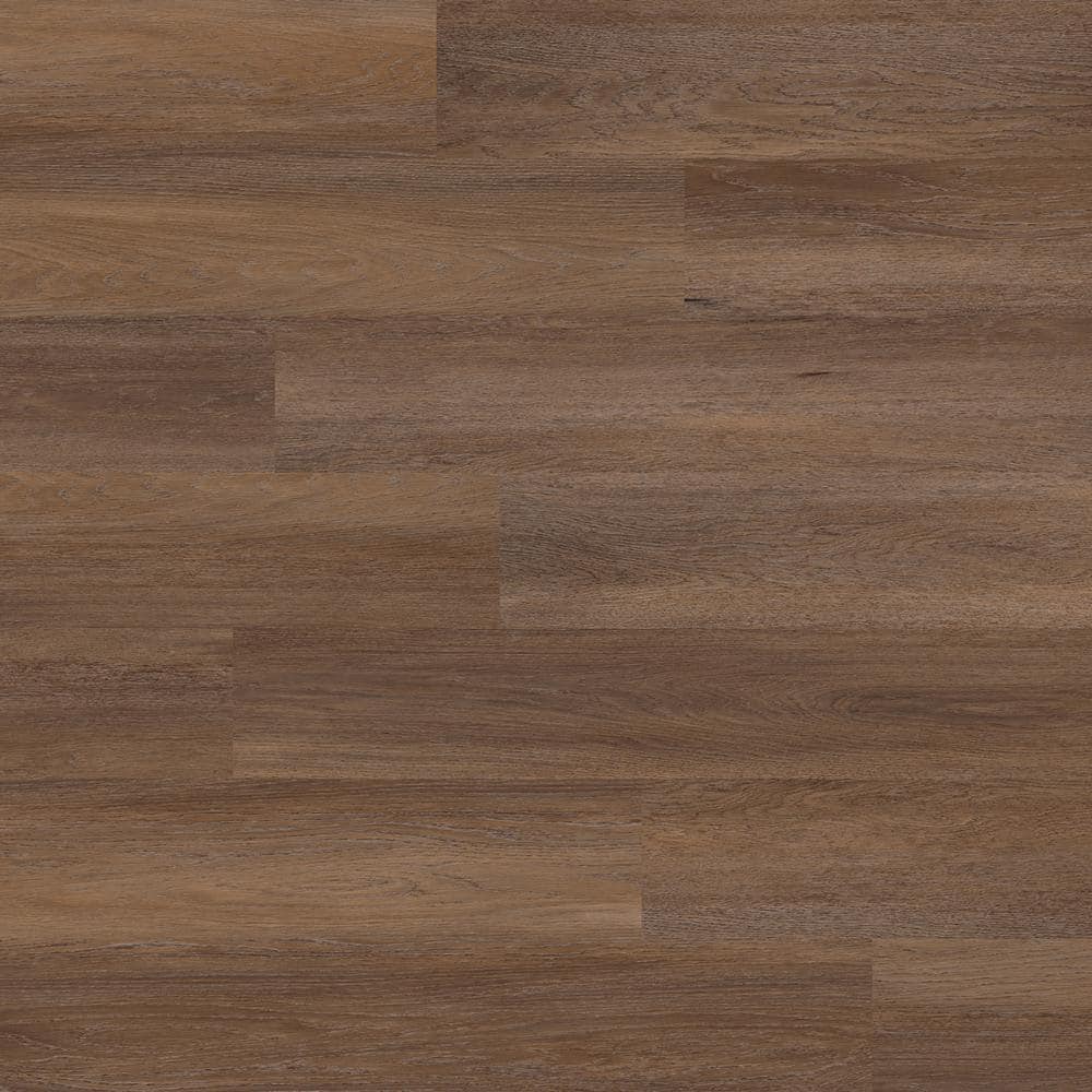 Lifeproof Tanglewood Oak 22 MIL x 8.7 in. W x 59 in. L Click Lock Waterproof Luxury Vinyl Plank Flooring (25 sqft/case)