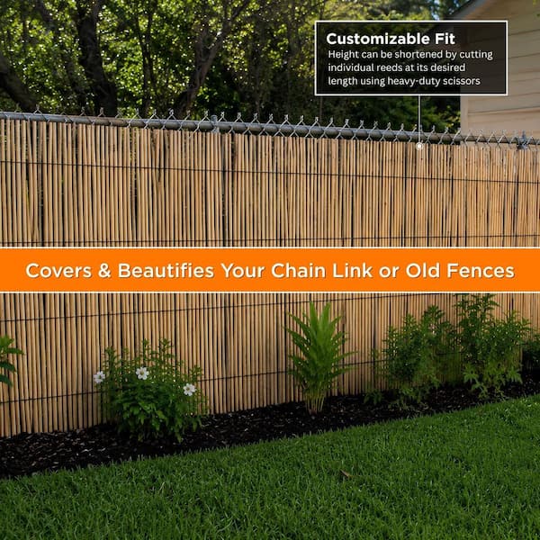 Backyard X-Scapes 6 ft. H x 16 ft. L Natural Jumbo Reed Bamboo